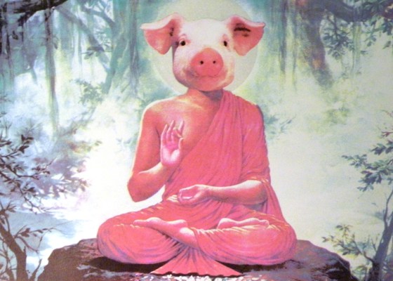 Buddha Pig - Karen Fiorito