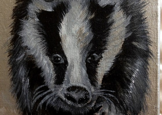 Badger - Kathy Livick