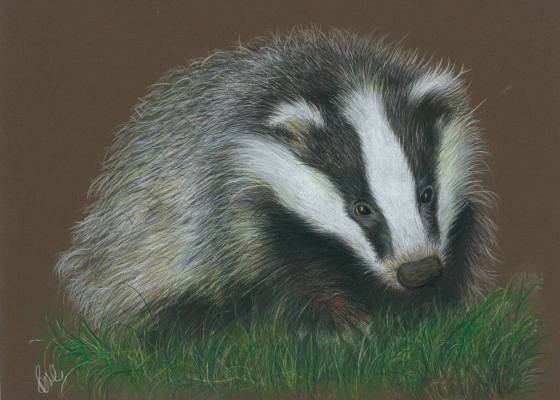 Boris the Badger - Paul Caton