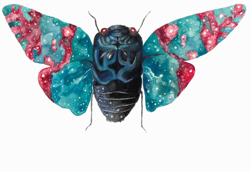 Celestial Ghost Cicada - Aaron Wright