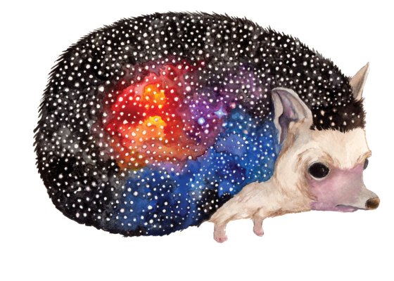 Celestial Ghost Hedgehog - Aaron Wright