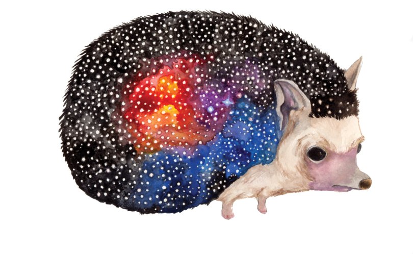 Celestial Ghost Hedgehog - Aaron Wright