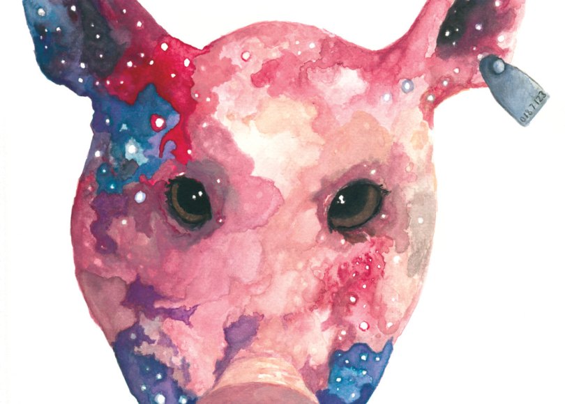 Celestial Ghost Pig - Aaron Wright