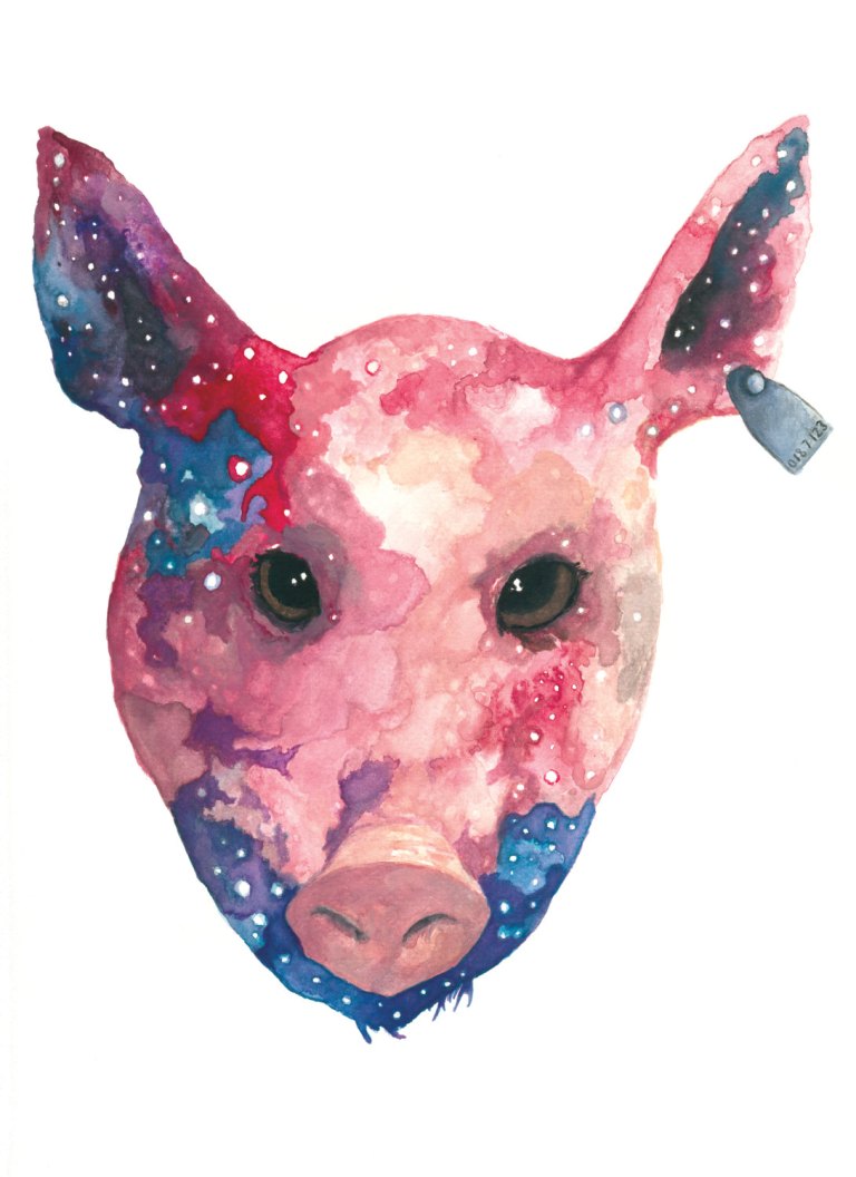 The Sheppard Collection of Vegan Art – a collection of art by vegans