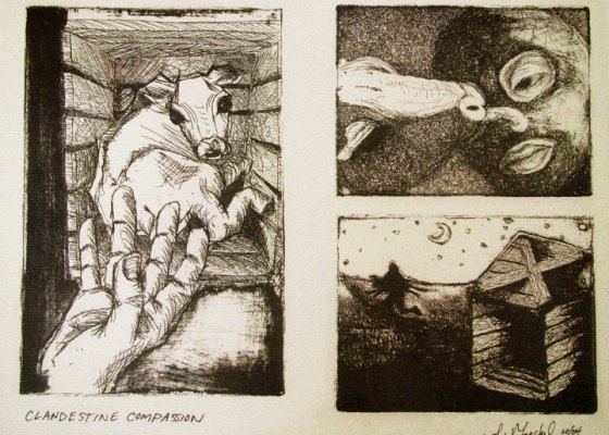 Clandestine Compassion - Amanda Moeckel