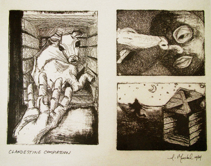 Clandestine Compassion - Amanda Moeckel