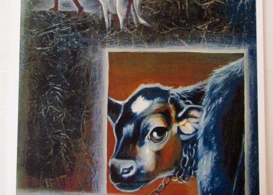 Don't Forget Me - Aamanda Moeckel