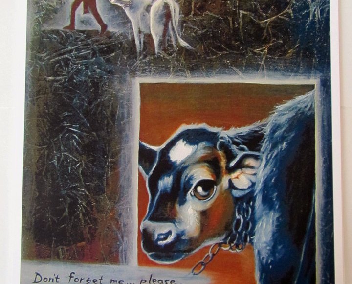 Don't Forget Me - Aamanda Moeckel