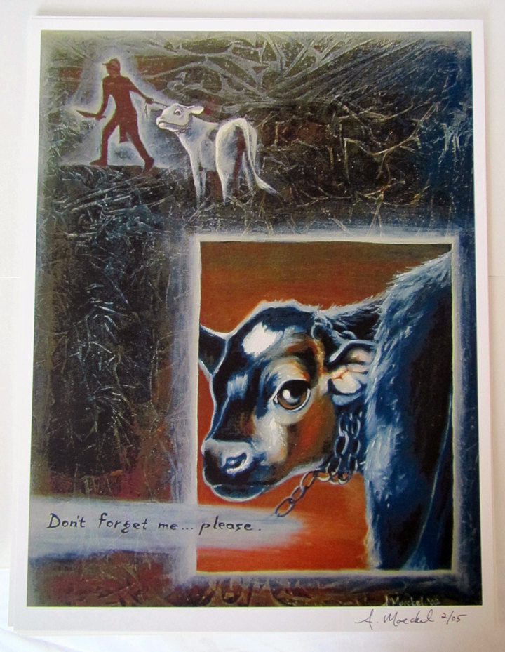 Don't Forget Me - Aamanda Moeckel