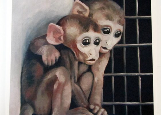 Fear - Amanda Moeckel