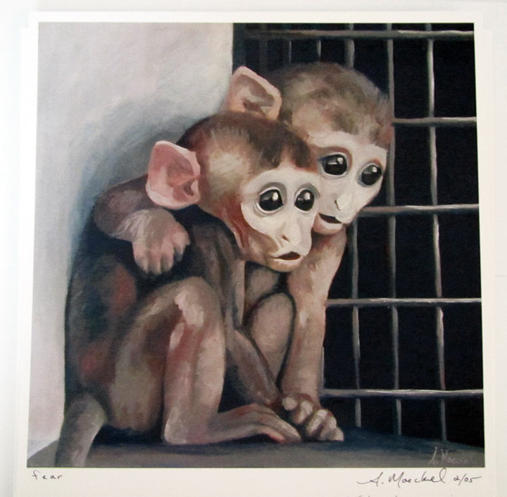 Fear - Amanda Moeckel