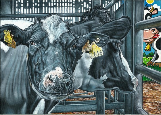 Happy Cows - Philip McCulloch-Downs