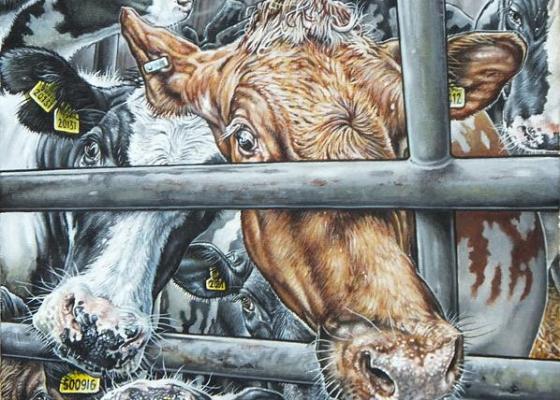 Happy Cows - Philip McCulloch-Downs