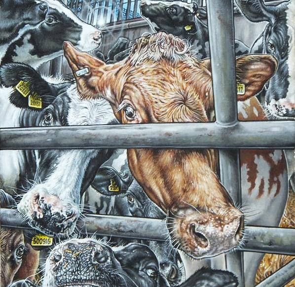 Happy Cows - Philip McCulloch-Downs