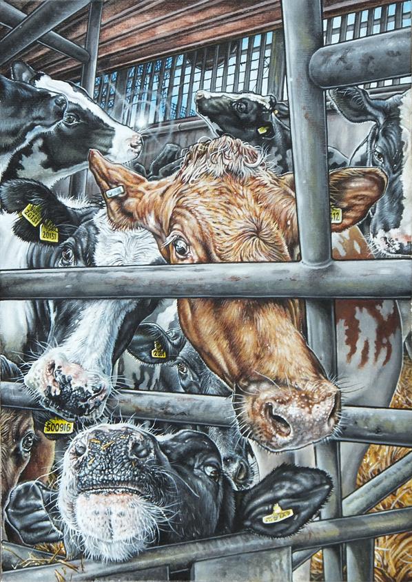 Happy Cows - Philip McCulloch-Downs