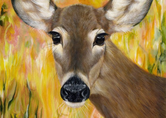 Deer Spirit - Paula Menetrey