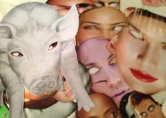 Pig Blindness - Kathryn Eddy