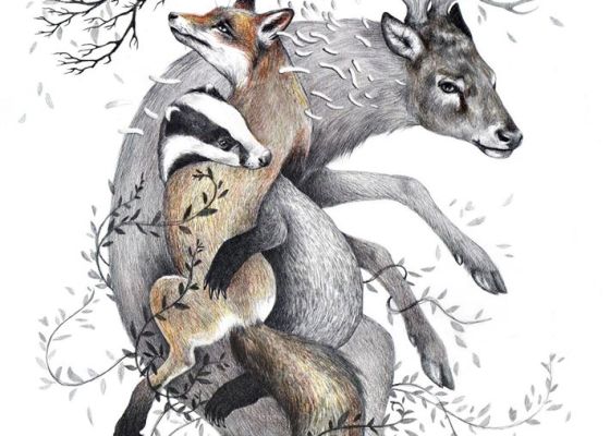 Protect Wildlife - Kate Louise Powell