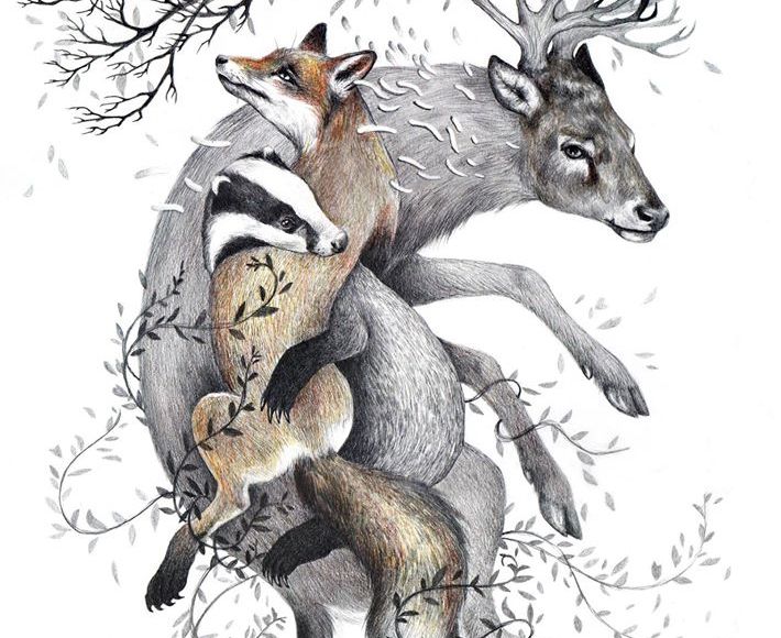 Protect Wildlife - Kate Louise Powell