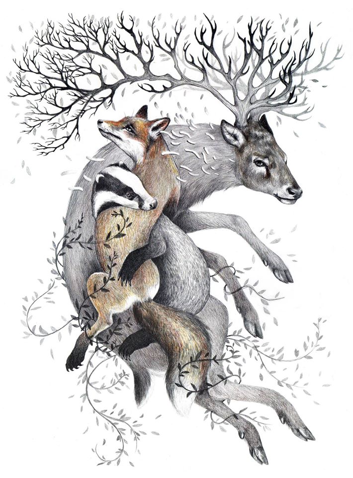 Protect Wildlife - Kate Louise Powell
