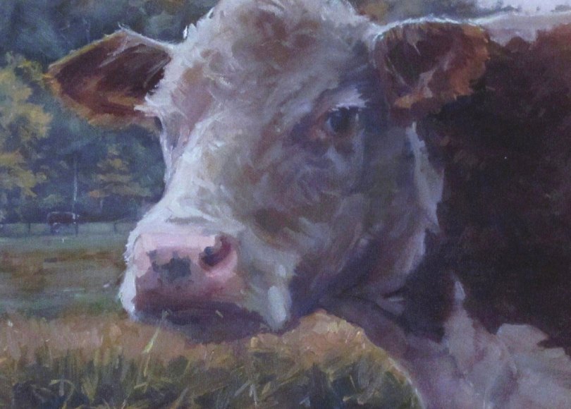 Sherman the Cow - Marcus Pierno