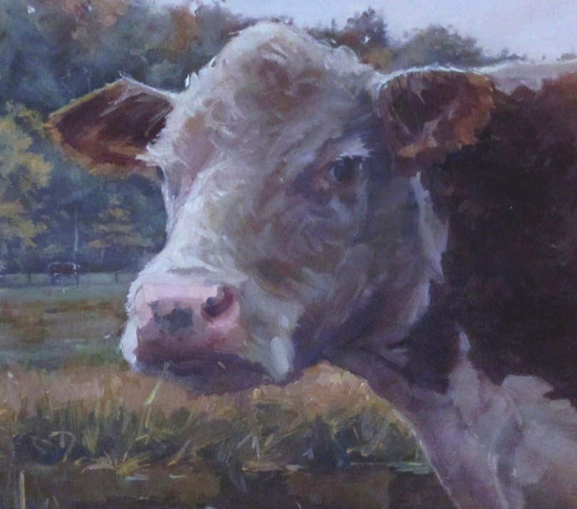 Sherman the Cow - Marcus Pierno