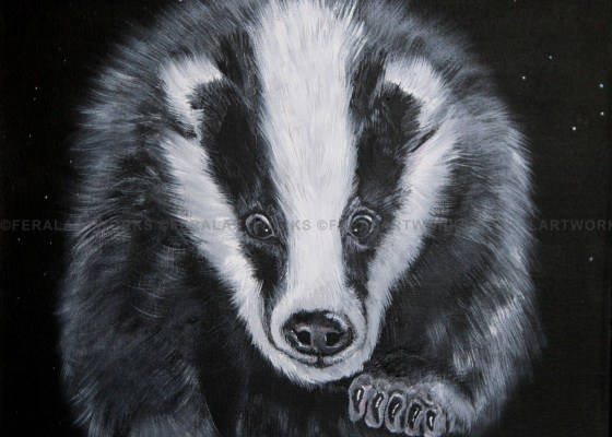 Starry Badger - Kathy Livick