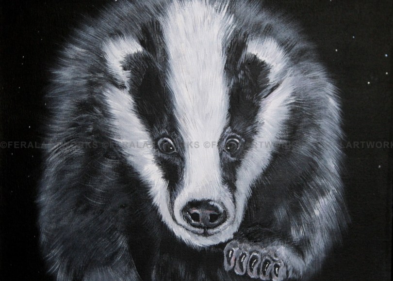 Starry Badger - Kathy Livick