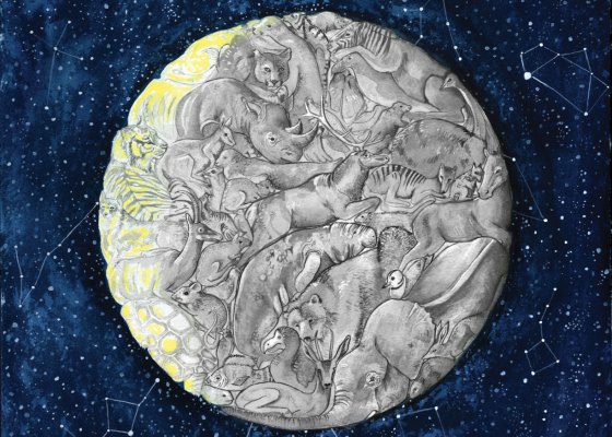 The Dark Side of the Moon - Natalie Hough