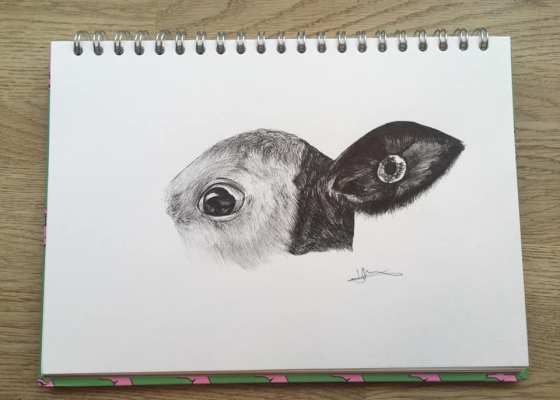 Untitled - Holly Merry