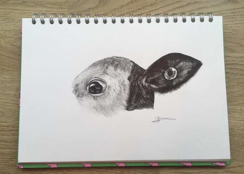 Untitled - Holly Merry